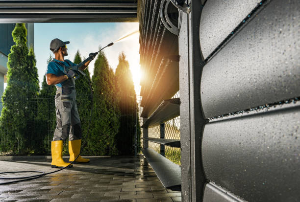 Best Roof Pressure Washing  in Kaibito, AZ